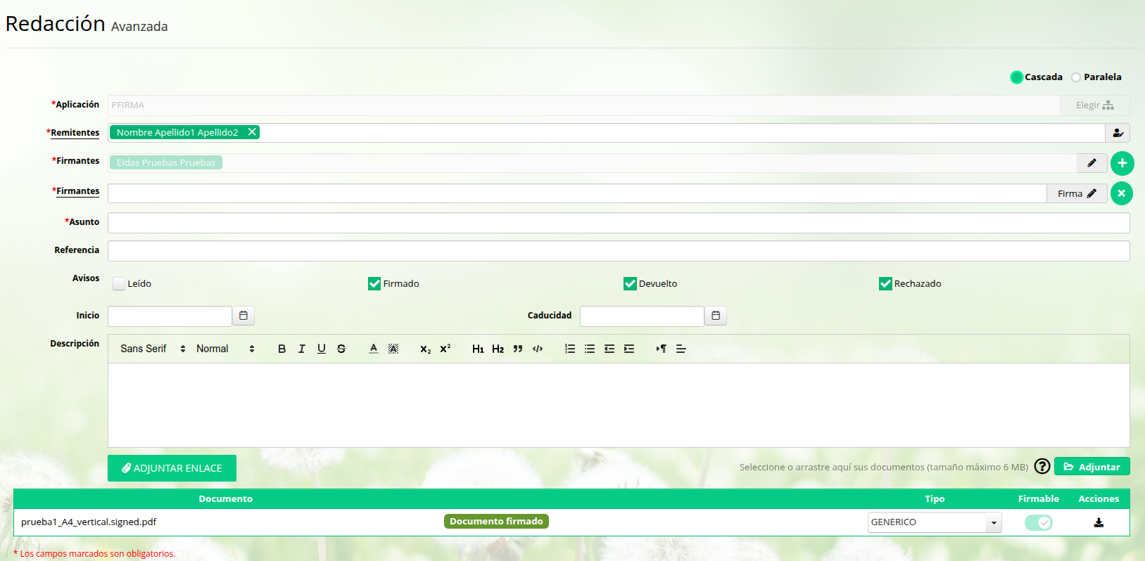 Redacción con campos rellenos por realizar continuidad de firma Redacción con campos rellenos por realizar continuidad de firma